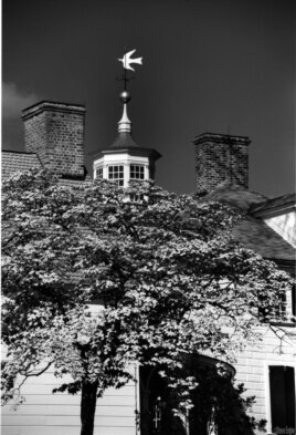 A Visit to George Washington's Mount Vernon