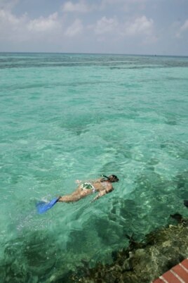 Snorkeling in the waters of Dry Tortugas National Park