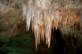 Hanging from the ceiling in the Big Room, the group of huge stalactites is known as the Chandelier.