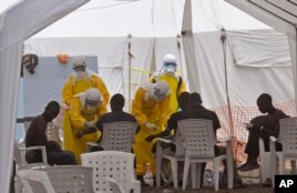 Ebola Vaccine Successful in Monkeys, Humans Next