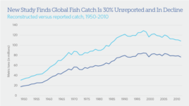 Fish catches have declined in the 90s (Pew Charitable Trusts).