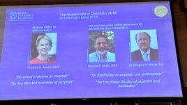 Pictures of the 2018 Nobel Prize laureates for chemistry: Frances H. Arnold of the United States, George P. Smith of the United States and Gregory P. Winter of Britain are displayed on a screen during the announcement at the Royal Swedish Academy of Sciences. (Jonas Ekstromer/TT News Agency/via REUTERS)