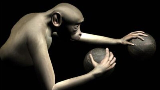 Monkeys Use Their Minds to Move Virtual Arms
