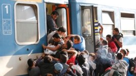 Migrants struggle to board a train at the railway station in Budapest, Hungary, Thursday, Sept. 3, 2015.