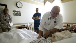 Easing Pain in the Sick and Dying