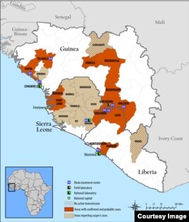 UN Agency Warns of Link Between Ebola and Bats