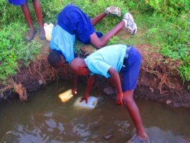 Kenyans collecting rainwater