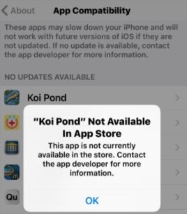 App Not Available in App Store