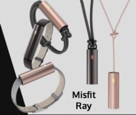 Misfit Ray