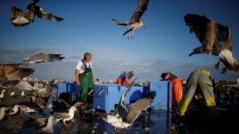 Fishermen are seen at work in the port of Matosinhos, Portugal, May 28, 2018.