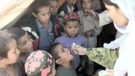 Peshawar World's 'Largest Reservoir' of Polio Virus