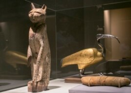 In this March 20, 2014 photo, a cat coffin with mummy, left, and an ibis coffin is displayed as part of the exhibit at the Orange County's Bowers Museum in Santa Ana, CA. (AP Photo/Damian Dovarganes)