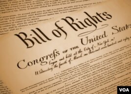 American History Series: The Heart and Soul of the Constitution