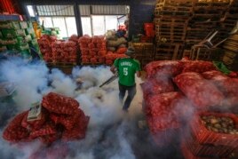 In this Jan. 28, 2016 photo, a Health Ministry worker in Managua, Nicaragua sprays chemicals to kill mosquitoes that transmit the Zika virus..