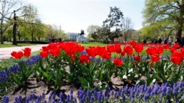 Songs About Spring Can Be Happy or Sad