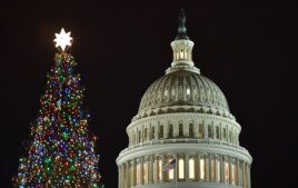 The Capitol Christmas tree on the West Front of the US Capitol in Washington, DC on December 6, 2017. German immigrants brought their tradition of putting lights, sweets and toys on the branches of evergreen trees to America.