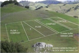 The plan for the original research area to test compost's carbon retention possibility on John Wick's Nicasio Native Grass Ranch in California..