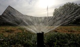 FILE: Sprinklers water a grass lawn on July 15, 2014, in Sacramento, Calif.