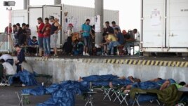 Migrants, who have been picked up within Austria near the border with Hungary, wait at a makeshift camp in Nickelsdorf, Austria, Aug. 29, 2015.