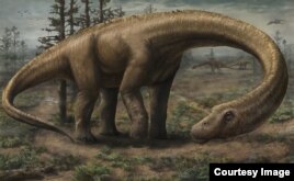 Dreadnoughtus: A Giant Among Dinosaurs