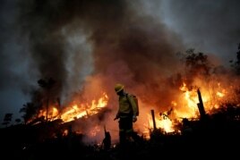 FILE - A Brazilian Institute for the Environment and Renewable Natural Resources (IBAMA) fire brigade member attempts to control a fire in a tract of the Amazon jungle in Apui, Amazonas State, Brazil, August 11, 2020. (REUTERS/Ueslei Marcelino)