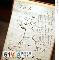 Darwin's first drawing of an evolutionary tree showing how new species develop from older ones