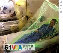 A patient recovering from dengue fever in Asuncion, Paraguay, in 2007