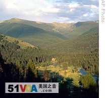Tree Deaths in Western US Linked to Climate Change