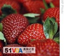 Grow It Yourself: Strawberries 
