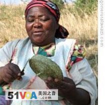 'Gone Rural' Project in Swaziland Lets Women Earn Money While Working from Home