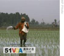 Seeking Balance in Fertilizer Use in an Uneven World