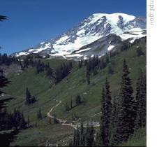 Mount Rainier National Park