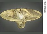 A bowl turned by Phil Brown made from holly
