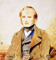 Charles Darwin as a young man