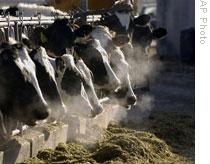 New Alliance to Study Greenhouse Gases in Agriculture