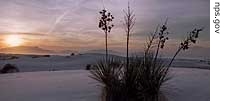 White Sands National Monument