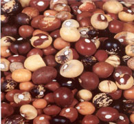 Some Crops Can Help Farmers Prepare for Disasters