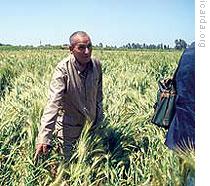 Increasing Food Security in Dry Areas of the Middle East