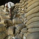 West Africans, Free Markets and the '08 Food Crisis