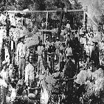 American History: Gold, Land Drive Settlers West