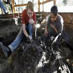 The La Brea Tar Pits: Where Animals Lived, Died, thousands of years ago