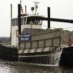 Scientists Recycle Oyster Shells to Aid Chesapeake Bay