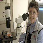 Stem Cells From Cord Blood May Offer Way to Treat Sick Children