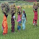 How Women Farmers Could Feed More in Developing World