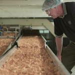 Crunch Time for Food Makers Against New Maize for Fuel