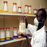 Much of Africa Not Investing Enough in Agricultural Research