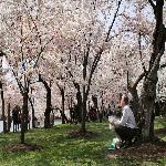 Seasonal Music: Songs About Spring