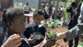 A Living Science Exhibit Grows at a Museum